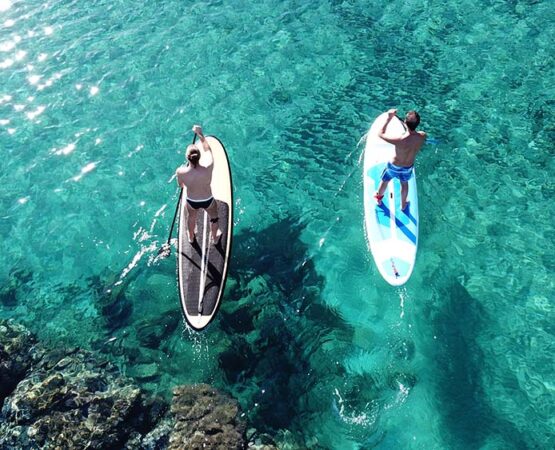 two-men-stand-up-paddling-in-maui-ocean